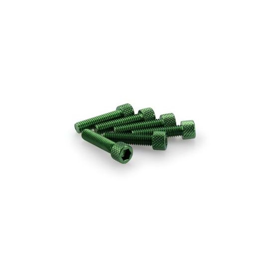 SCREWS PUIG ANODIZED 0544V GREEN M6 X 25MM (6PCS)