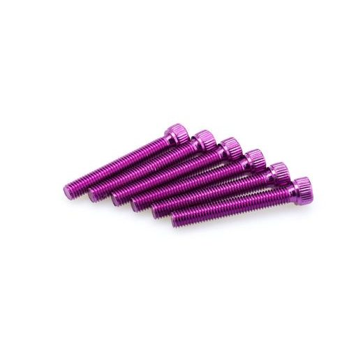 SCREWS PUIG ANODIZED 0540L VIOLET M8 X 55MM (6PCS)