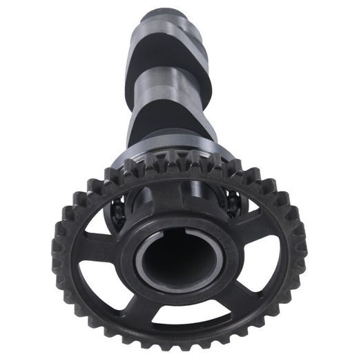 CAMSHAFT UNICAM HOT CAMS 1319-2