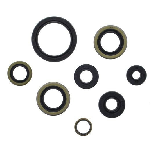 ENGINE OIL SEAL KIT WINDEROSA 822365