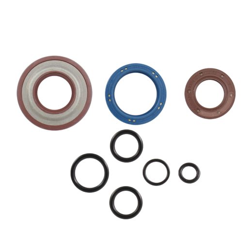 OIL SEAL KIT CORTECO 100640285