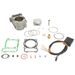 CYLINDER KIT ATHENA P400210100026 BIG BORE D 67 MM, 166 CC (CDI INCLUDED)