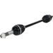 AXLE ALL BALLS RACING AB6-YA-8-361 6BALL
