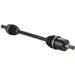 AXLE ALL BALLS RACING AB8-HO-8-374 8BALL