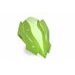 WINDSHIELD PUIG NEW GEN. SPORT 22439V GREEN