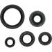 ENGINE OIL SEAL KIT WINDEROSA 822994