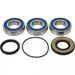 WHEEL BEARING KIT ALL BALLS RACING WB25-1821