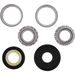 STEERING BEARING KIT ALL BALLS RACING SB22-1083