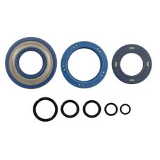 BLUE OIL SEAL KIT CORTECO 100640280