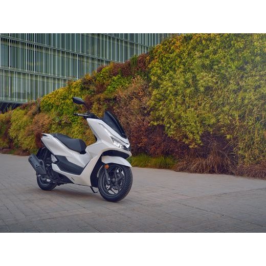 PCX125 DX 2025