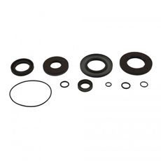 DIFFERENTIAL SEAL ONLY KIT ALL BALLS RACING DB25-2130-5