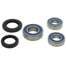 WHEEL BEARING KIT ALL BALLS RACING WB25-1810 REAR