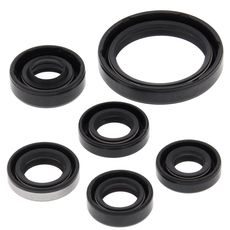 ENGINE OIL SEAL KIT WINDEROSA EOSK 822334