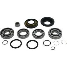 DIFFERENTIAL BEARING AND SEAL KIT ALL BALLS RACING 25-2138 DB25-2138 REAR