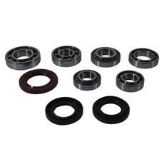 DIFFERENTIAL BEARING AND SEAL KIT ALL BALLS RACING DB25-2109