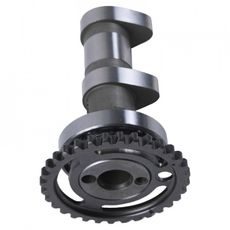 CAMSHAFT EXHAUST HOT CAMS 2321-1E