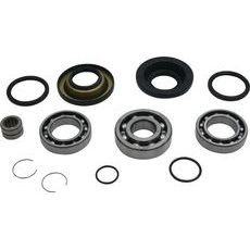 DIFFERENTIAL BEARING AND SEAL KIT ALL BALLS RACING 25-2137 DB25-2137 REAR
