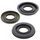 Oil seal set WINDEROSA 622403
