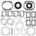Complete Gasket Kit with Oil Seals WINDEROSA CGKOS 711162C