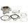 Cylinder kit ATHENA P400510100011 d 95,5 (450cc)