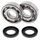 Crankshaft bearing and seal kit All Balls Racing CB24-1011