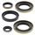 Engine Oil Seal Kit WINDEROSA 822299