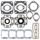 Complete Gasket Kit with Oil Seals WINDEROSA CGKOS 711158