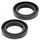 Oil seal set WINDEROSA 622100