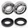Crankshaft bearing and seal kit All Balls Racing CB24-1070