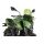 Windshield PUIG NEW. GEN TOURING 23036V green