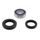 Head bearing kit with shaft seal All Balls Racing 25-1515