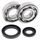 Crankshaft bearing and seal kit All Balls Racing CB24-1017