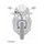 STANDARD Front brake hose kit Venhill POWERHOSEPLUS YAM-9002FB-BK (2 hoses in kit) Black hoses, black fittings
