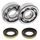 Crankshaft bearing and seal kit All Balls Racing CB24-1102