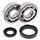 Crankshaft bearing and seal kit All Balls Racing CB24-1027