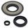 Engine Oil Seal Kit WINDEROSA EOSK 55170