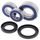 Wheel Bearing Kit All Balls Racing WB25-1703