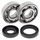 Crankshaft bearing and seal kit All Balls Racing CB24-1008