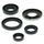 Engine Oil Seal Kit WINDEROSA EOSK 822139