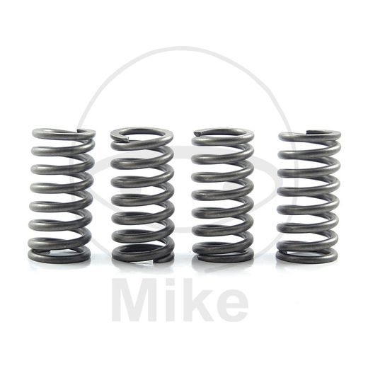 CLUTCH SPRING KIT EBC CSK195 4