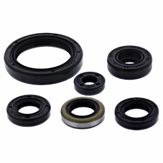 ENGINE OIL SEAL KIT WINDEROSA EOSK 822379