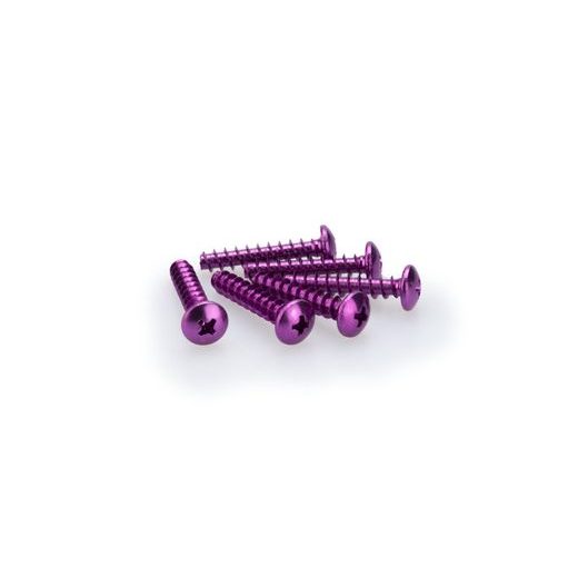 SCREWS PUIG ANODIZED 2543L VIOLET M6 X 30MM (6PCS)