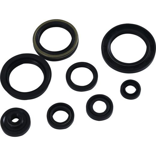BOTTOM END KIT HOT RODS CBK0189