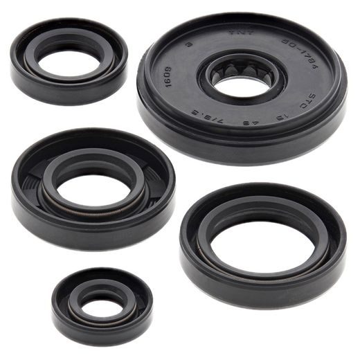 ENGINE OIL SEAL KIT WINDEROSA EOSK 822196