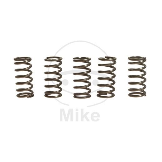 CLUTCH SPRING KIT EBC CSK176 5