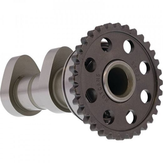 CAMSHAFT INTAKE HOT CAMS 4163-1IN