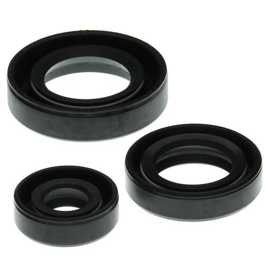 ENGINE OIL SEAL KIT WINDEROSA EOSK 822199