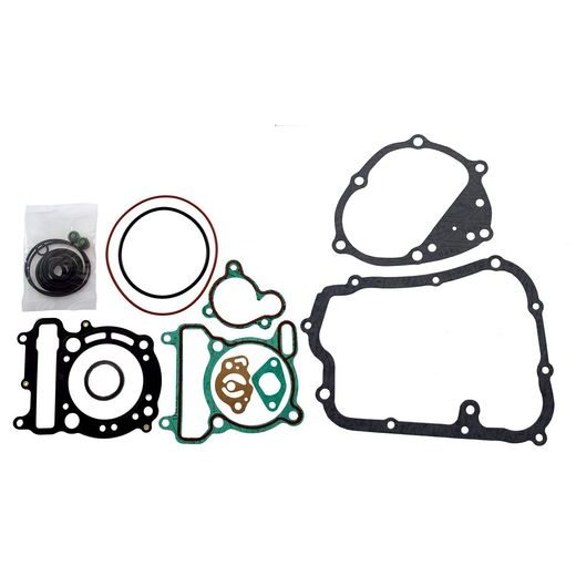 ENGINE GASKET SET RMS 100689800