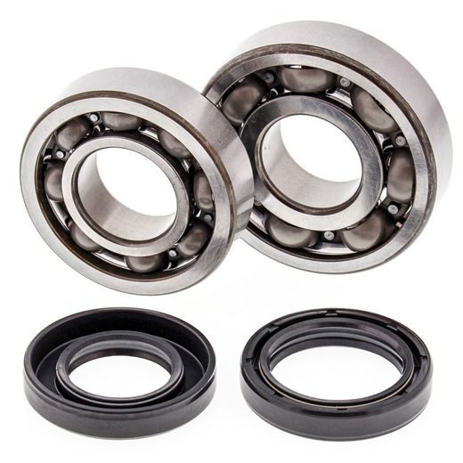 CRANKSHAFT BEARING AND SEAL KIT ALL BALLS RACING CB24-1043