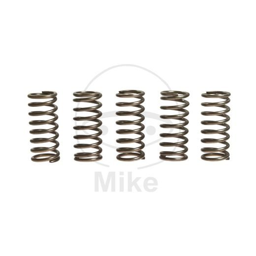 CLUTCH SPRING KIT EBC CSK138 5